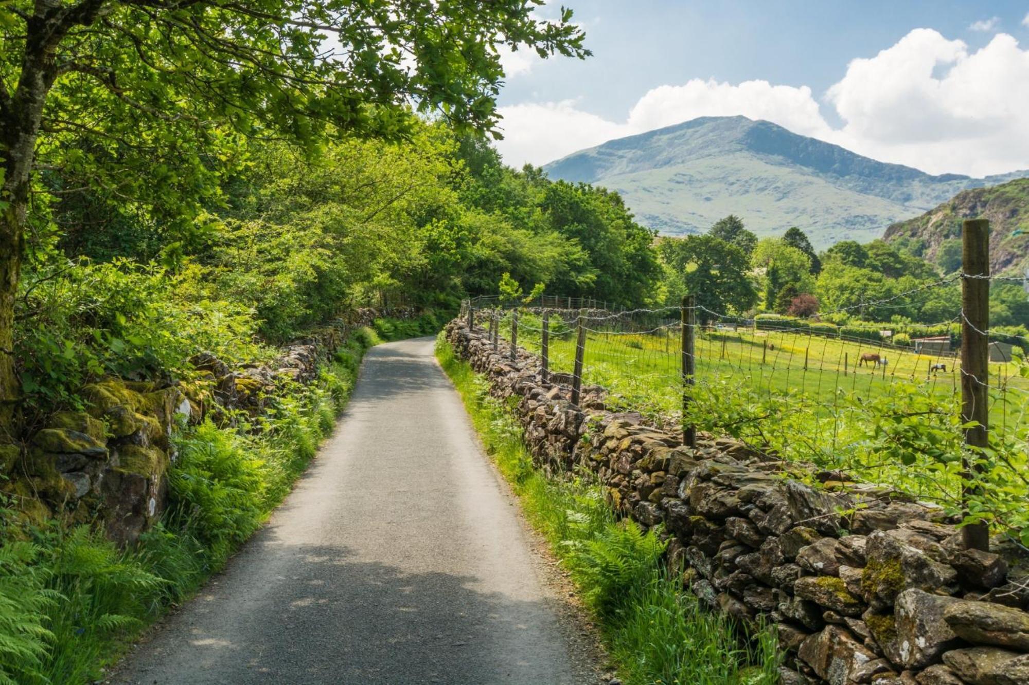 Sygun Fawr Country House Beddgelert Exteriör bild